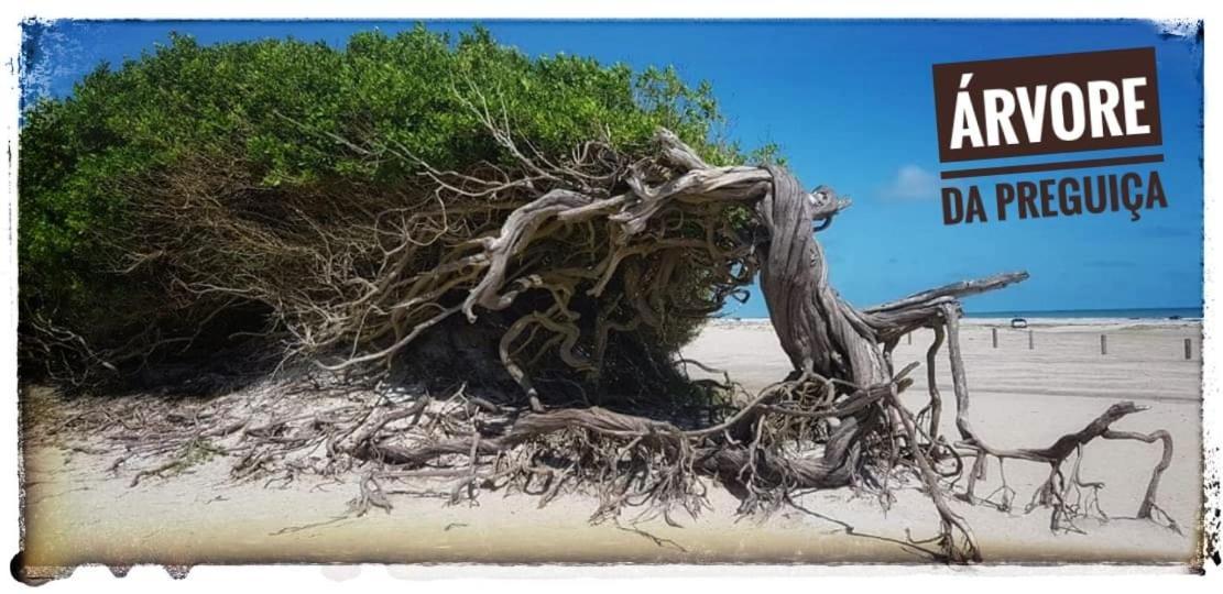 Casa A 3 Minutos Do Aeroporto De Jericoacoara Villa Ngoại thất bức ảnh
